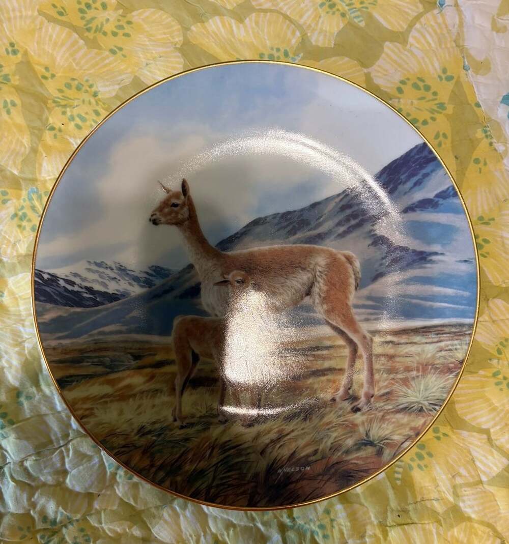 EUC W.J. George Collector Plate The Vicuna Will Nelson Last Of Their Kind